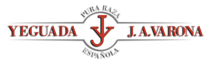 logo_yeguada_741x216