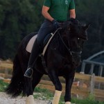competicion_ferrojav217