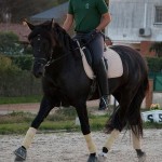 competicion_ferrojav218